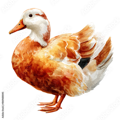 Peking Duck in watercolor painting style, vector illustration on white background.