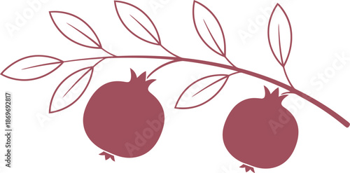 Two pomegranates growing on a twig with leaves. Harvest fruit concept. Flat style organic food. Vector illustration for greeting card, banner