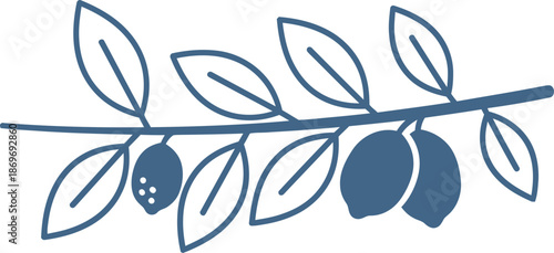 Olive branch with fruit illustration. Simple sprig design showing leaves and olives. Vector art for natural food product packaging
