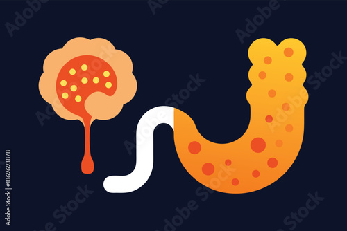 Gut Brain Axis Concept Illustration of Human Microbiome and Digestive Mental Health Connection