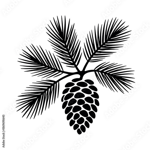 Pine cone graphic illustration hangs from dark green spruce branches against a white.
