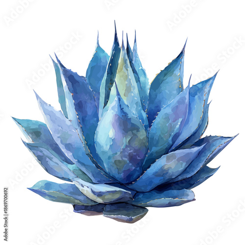 Watercolor-style vector illustration of Blue Agave, isolated on a clean white background.