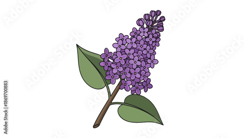Lilac flower branch with green leaves
