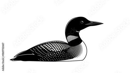 Detailed Loon Illustration, Black and White