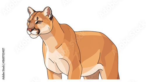 Cougar Illustration: Majestic Feline in Detail