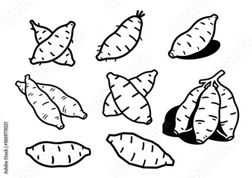 Minimalist single-color sweet potato vector graphic pure line art transparent background editable design resource for creative projects