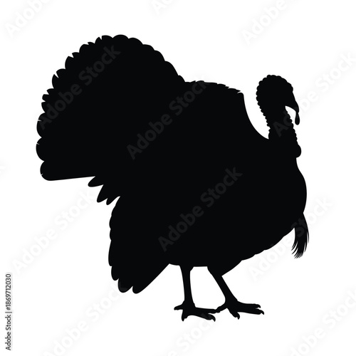 A striking silhouette of a wild turkey in profile view