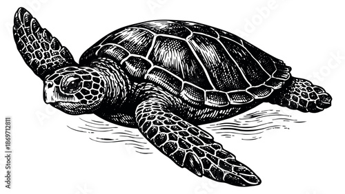 Vintage hand drawn line art illustration of a sea turtle depicting swimming for marine life concepts