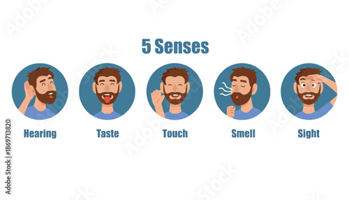 An infographic illustration of a man experiencing the five human senses