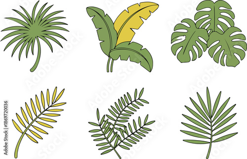 Tropical Leaf Outline Icon Set Palm, Banana & Monstera Foliage