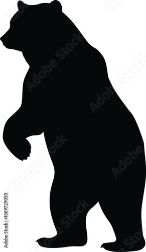 Powerful wild bear standing tall on hind legs in its natural habitat silhouette