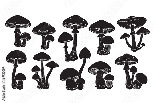 Mushroom Silhouettes Set - Wild Fungi and Toadstool Vector Illustrations
