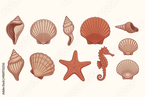 Sea shell vector set, minimalist hand drawn marine silhouettes in ink style, coastal summer beach shell doodles for logo design, menu decoration, print branding and tropical themes