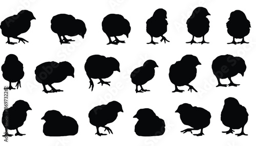 A collection of black chicken silhouettes on a white background