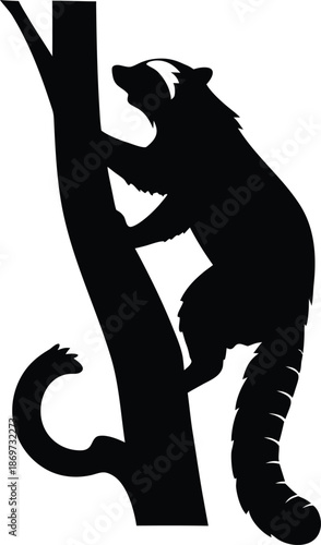 North American Raccoon Silhouette Expertly Climbing a Sturdy Tree Trunk
