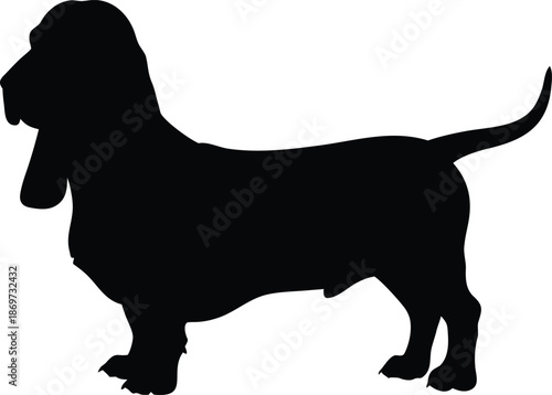 Noble Basset Hound Silhouette Featuring Characteristic Long Drooping Ears and Sturdy Build