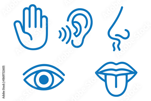 Human senses icon set. Vision eye, smell nose, hearing ear, touch hand, taste mouth with tongue. Simple line icons in black. Five senses of human nervous system