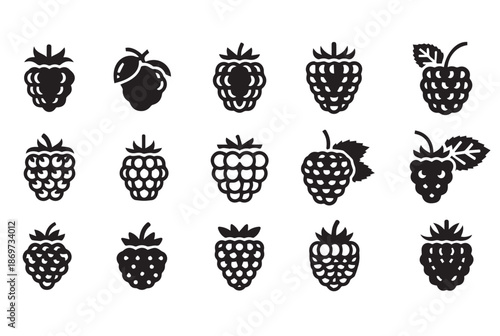 Fresh Raspberry and Blackberry Fruit Vector Icons Set - Berry Silhouettes