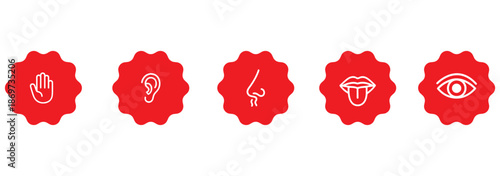 Five human senses icons, sensory perception, flat vector illustration, hearing smell taste touch vision, educational design, biology concept, awareness theme