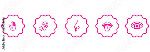 Five human senses icons, sensory perception, flat vector illustration, hearing smell taste touch vision, educational design, biology concept, awareness theme