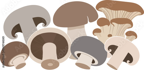 A diverse collection of fresh, organic edible mushrooms showcasing various species in appealing earthy tones, perfect for culinary and natural food themes