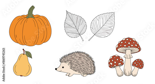 Autumn-themed illustrations including a pumpkin, pear, hedgehog, amanita mushrooms, and leaf sketches for seasonal harvest design.