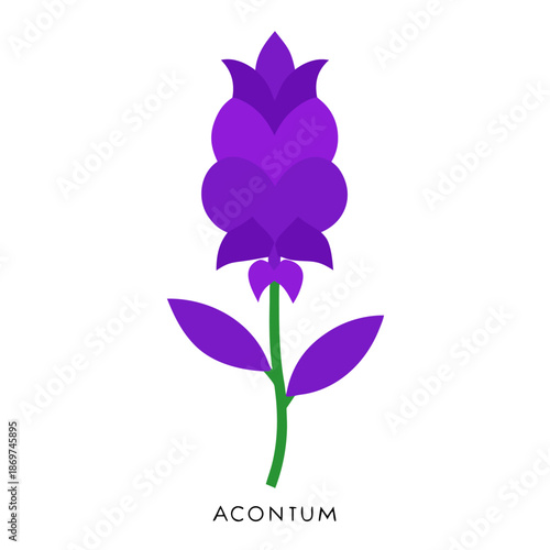 aconitum forex flower vector 