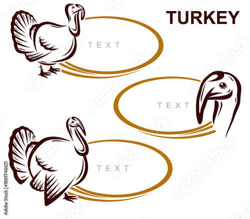 Fitness and bodybuilding icon set. Collection icon fitness. Vector 