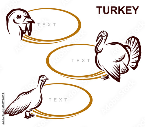 Turkey labels and icon set. Collection icons turkey. Vector