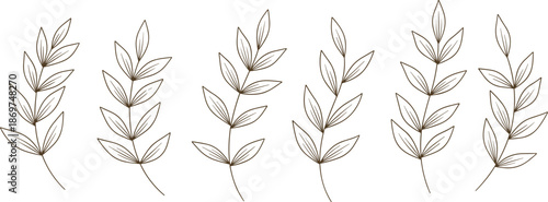 Minimalist botanical leaf line art collection featuring hand drawn branch sketches and decorative foliage motifs for elegant nature pattern design