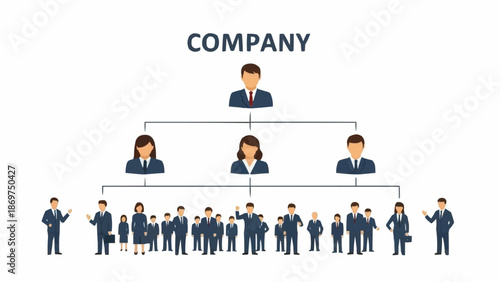 Company organizational chart showing hierarchy and employees.