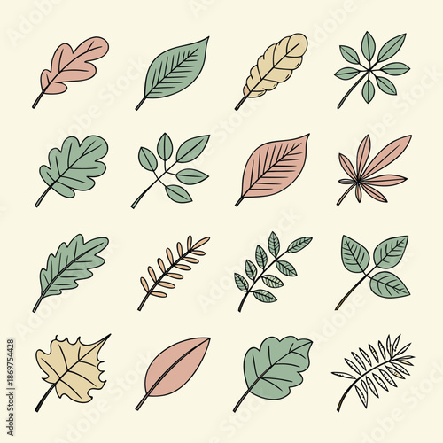 Leaf Illustration