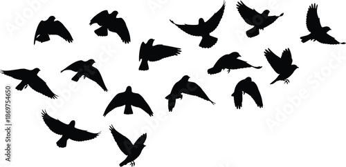 Bird silhouette icon set with thirteen flying black birds in varied wing positions and dynamic postures