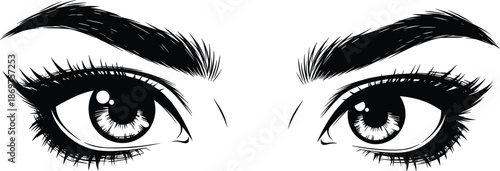 Female eyes illustration, detailed eyelashes and eyebrows, intense gaze beauty concept, black white hand drawn vector art, fashion, makeup, portrait