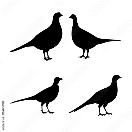 Collection of four elegant pheasant bird silhouettes in black on a clean white background