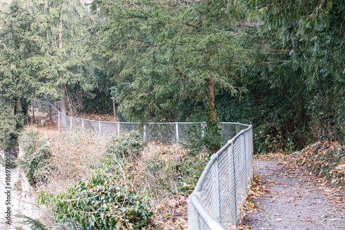 Pathway with chainlink fenc...