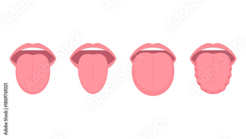 舌の大きさと形のイラスト