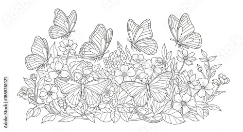 A delicate line drawing of a cluster of butterflies and flowers on a white background for coloring book illustrations and designs with butterfly