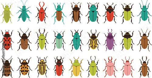 Colorful beetle insect illustration set with different species patterns and shapes isolated on white background vector