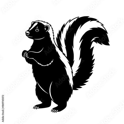 vector illustration of a black bear