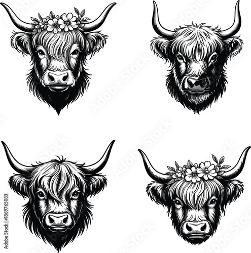 Set of highland cow head vector sketches, vintage scottish cattle illustrations with horns and floral crowns