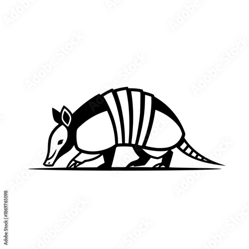armadillo vector illustration