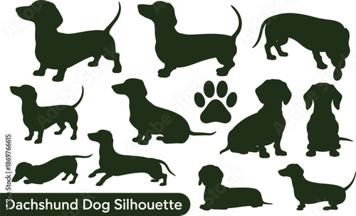 Set of dachshund dog silhouettes in various poses with central paw print, ideal for pet design, breed identification, and canine-themed artwork.