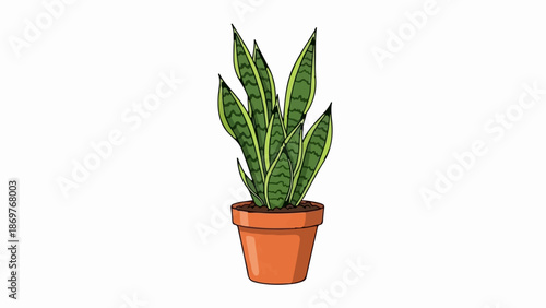 Tall green-striped leaves emerge from a terracotta pot