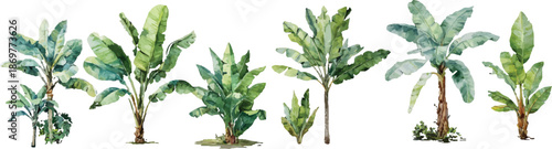 green grass on white background