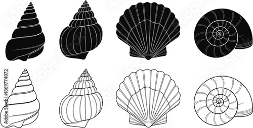 Seashell icon set with various ocean shells including scallop and spiral snail in black silhouette and linear outline for beach