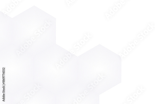 Minimal white hexagon pattern with soft gradient fade. Subtle honeycomb geometry creates a clean abstract background. Perfect for UI design, branding layouts, and modern presentations.