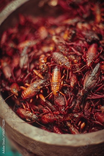 Cockroaches in spice