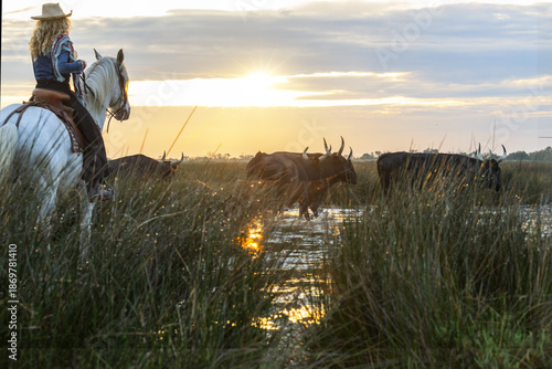 Landscape with bulls and guardians in Camargue