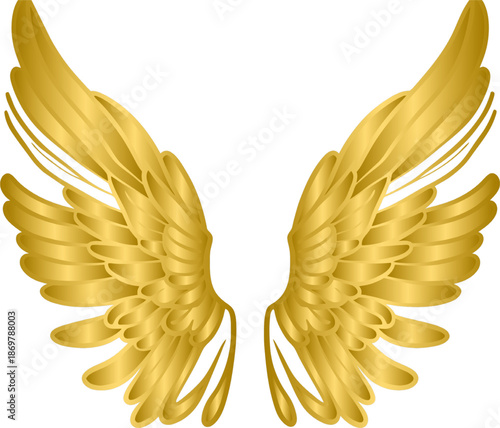 An artistic pair of golden wings with elegant curved bristles.